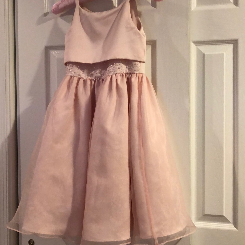 Fancy pink dress